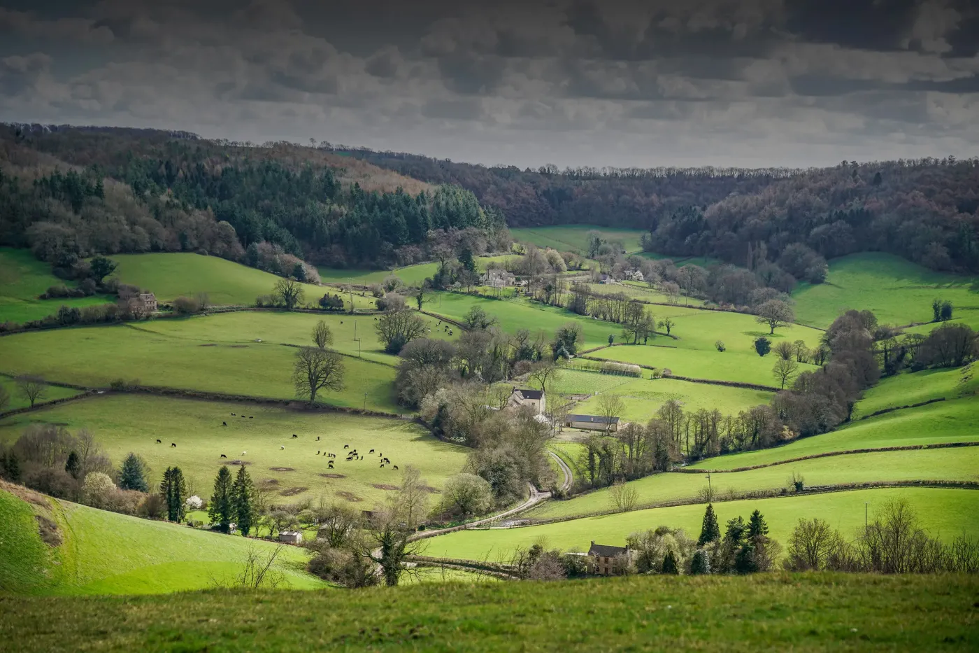 View from Breakheart Hill across Waterley Bottom near Dursley, The Cotswolds, Gloucestershire